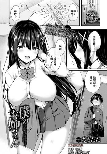Boku no Onee-chan - My beloved was defiled and taken from me... cover