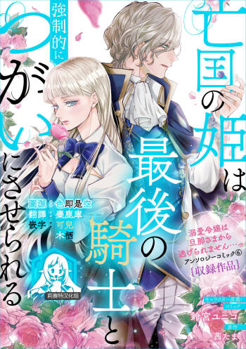 bōkoku no hime wa saigo no kishi to kyōsei-teki ni tsugai ni sa se rareru | 亡国的公主被强制许配给了最后的骑士 cover