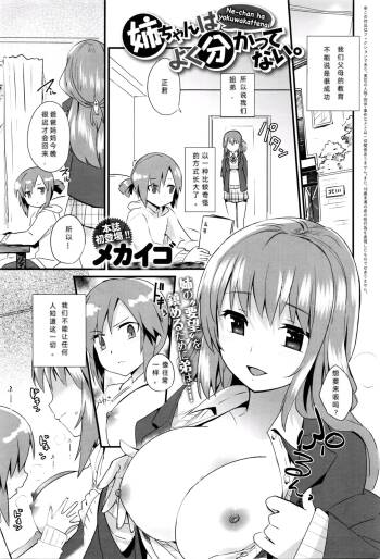 My Older Sister Doesn't Really Understand. Ch. 1-3 cover