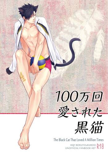 Hyaku Man Kai Aisareta Kuro Neko | 爱了一百万次的黑猫 cover