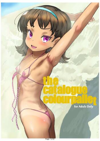 the catalogue colourpallet cover