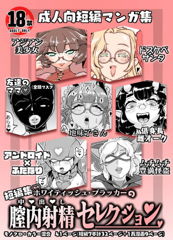 Chitsunaishasei serekushon cover