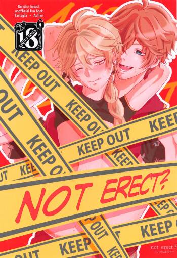 NOT ERECT? cover