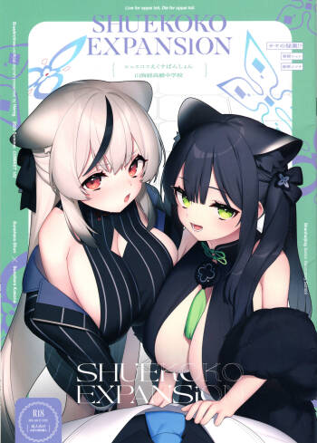 SHUEKOKO EXPANSION cover