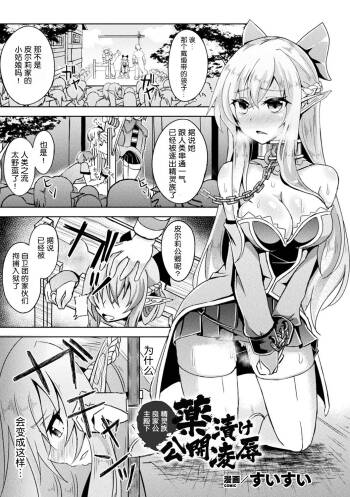 Ryouke no Ojou-sama Elf, Kusurizuke Koukai Ryoujoku | 精靈族良家公主殿下薬漬け公開陵辱 cover