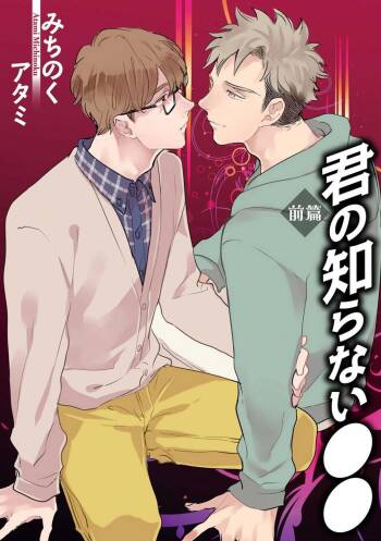 Kimi no Shiranai xx cover