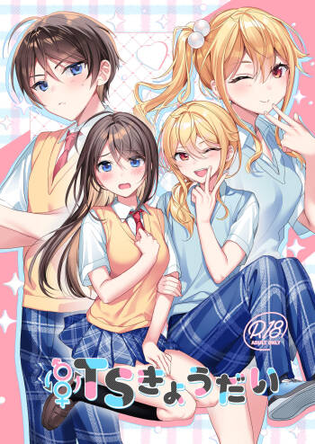 TS Kyoudai cover