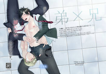 Bokutachi, Kyoudai ni wa Mou Modorenai Mitai desu. cover