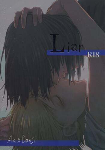 Liar cover