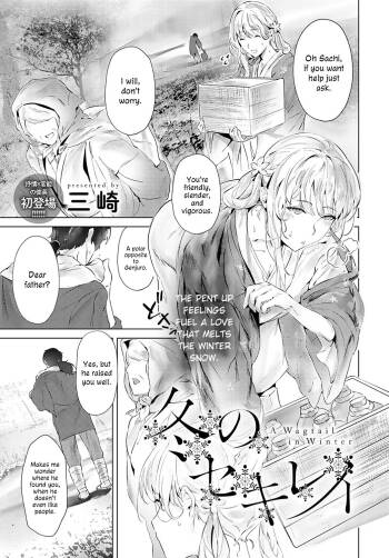 Fuyu no Sekirei | A Wagtail in Winter cover