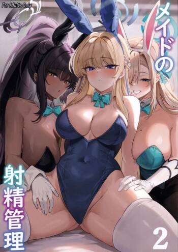Maid no Shasei Kanri 2 cover