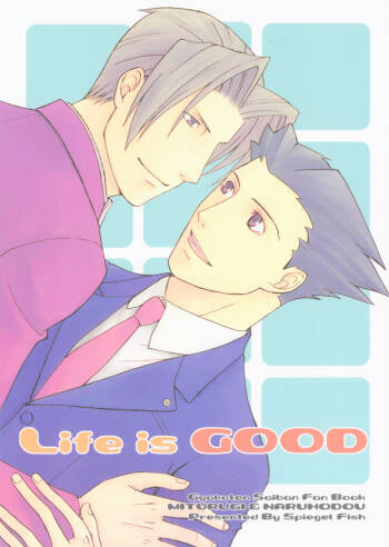 Ace Attorney DJ - Life is Good cover