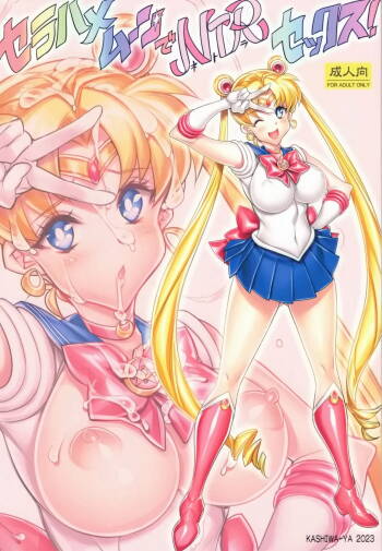 Sera Hame Moon de NTR Sex ! | Sailor Fuck Moon's Netorate Sex! cover