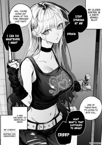 The Day I Decided to Make My Cheeky Gyaru Sister Understand in My Own Way Ch. 1-5 cover