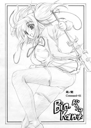Command 01 cover
