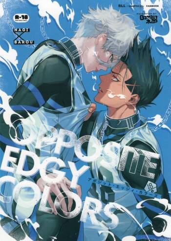 OPPOSITE EDGY COLORS cover