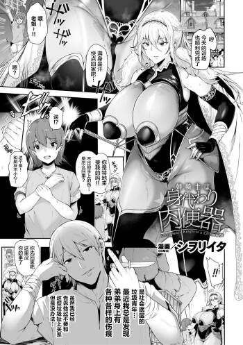 姉騎士は身代わり肉便器 cover