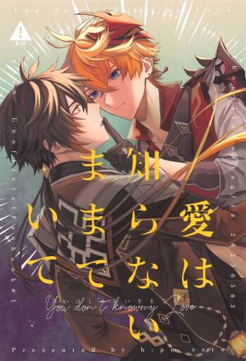 Ai wa  Shiranai Mama de Ite - You don't know my Love cover