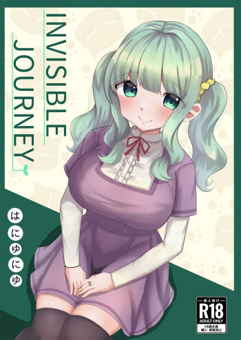 INVISIBLE JOURNEY cover