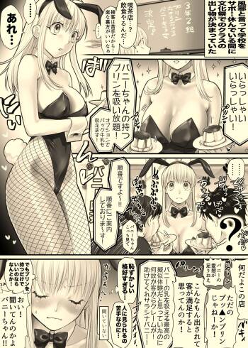Nika Ga Bunny Girl. cover