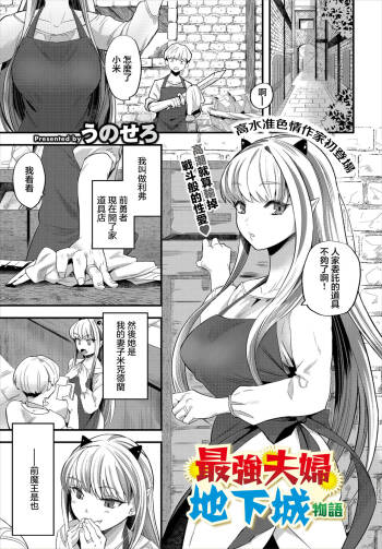 最強夫婦ダンジョン物語 cover