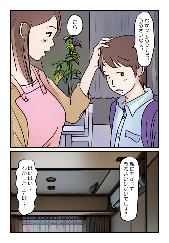 【近親相姦体験】母さんが僕の女になった日 page 3 full