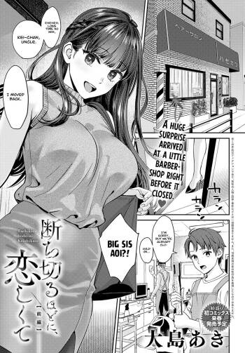 Tachikiru Hodo ni, Koishikute cover