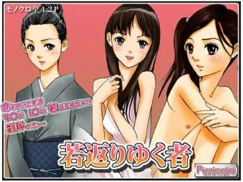 Wakagaeri Yuku Mono  ichigoreader cover