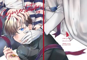 segmentation cover