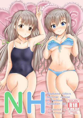 NH cover