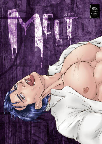 Melt cover