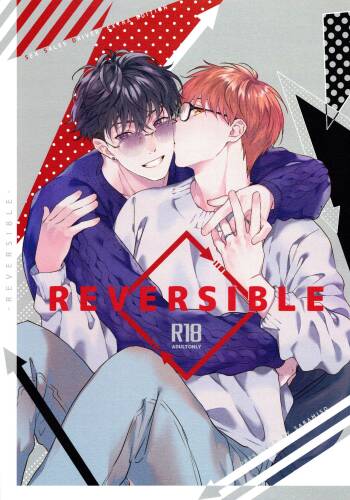 REVERSIBLE cover