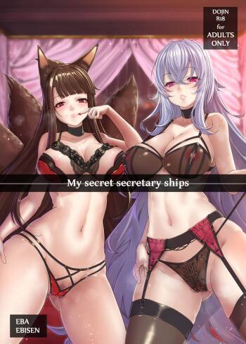 My Secret Secretary Ships cover