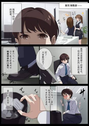 Birei sama no tsuba seme cover