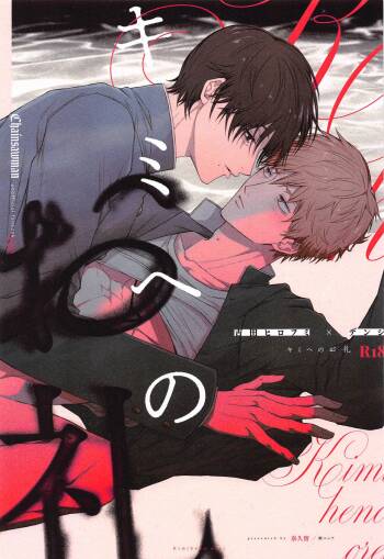 Kimi e no  Orei cover