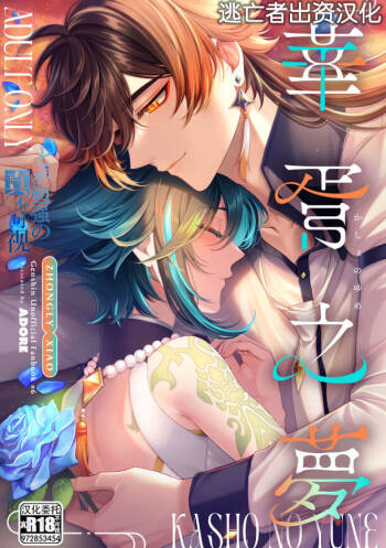 華胥之夢 cover