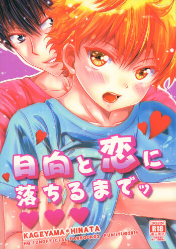 Hinata to Koi ni Ochiru Made— cover
