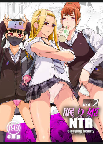 NTR Nemuri Hime vol. 2 cover