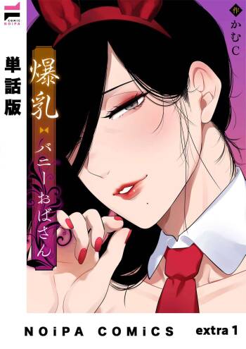 爆乳兔女郎（番外篇） cover