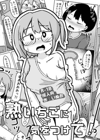 Juku Ichigo ni Kiotsukete! cover
