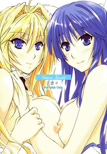 Sekirei Secrets cover