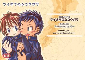 ツイオクのムコウガワ cover