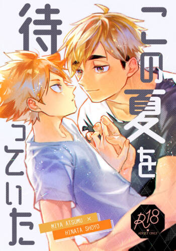 この夏を待っていた cover