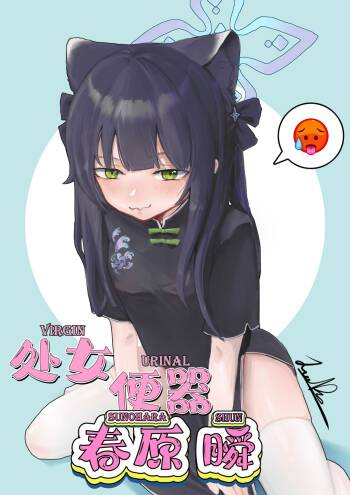 Virgin Urinal Sunohara Shun cover