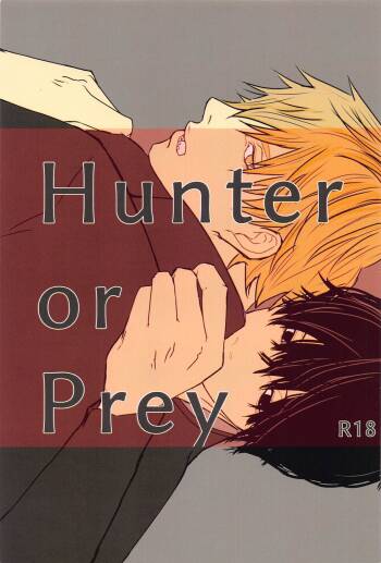 Hunter or Prey cover