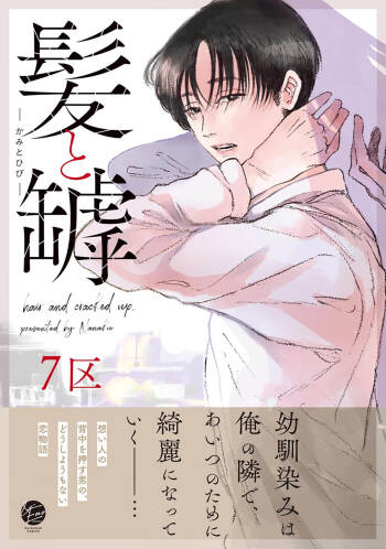 髮與裂痕 cover