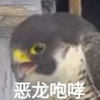 宇智波鼬x漩涡鸣人 cover
