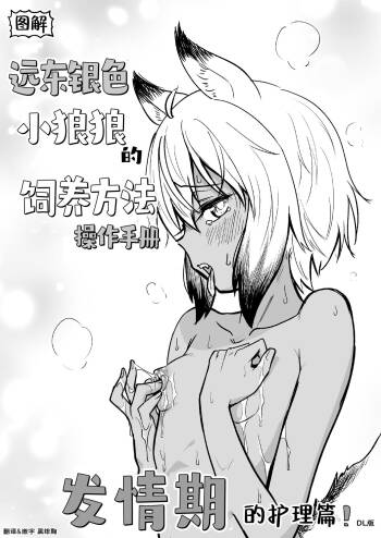 Zukai Kyokutou Giniro Jinrou-chan no Kaikata Handbook Hatsujouki no Osewa Hen | 图解 远东银色小狼狼的饲养方法 操作手册 发情期的护理篇 cover