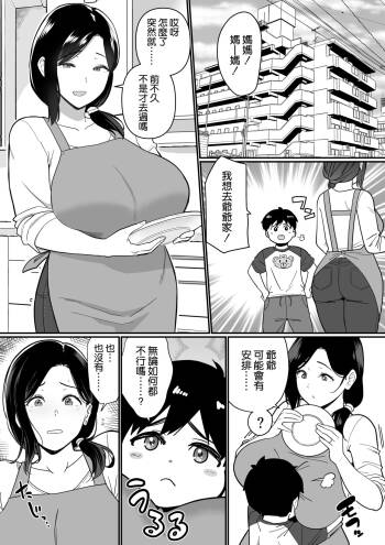 お母さんいただきます。3 cover