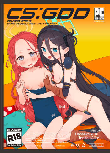 CS:GDD cover